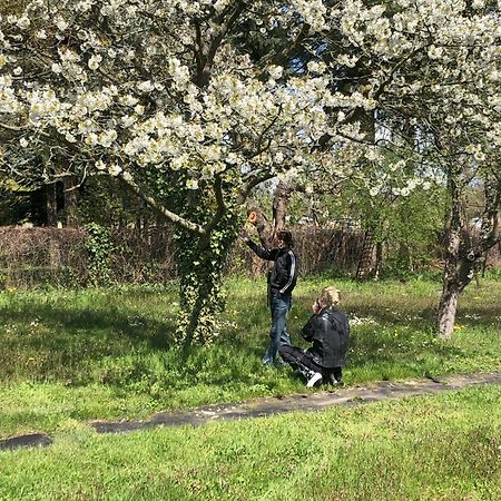 Hof Maerkische Heide Vandrerhjem Brandenburg  Eksteriør bilde
