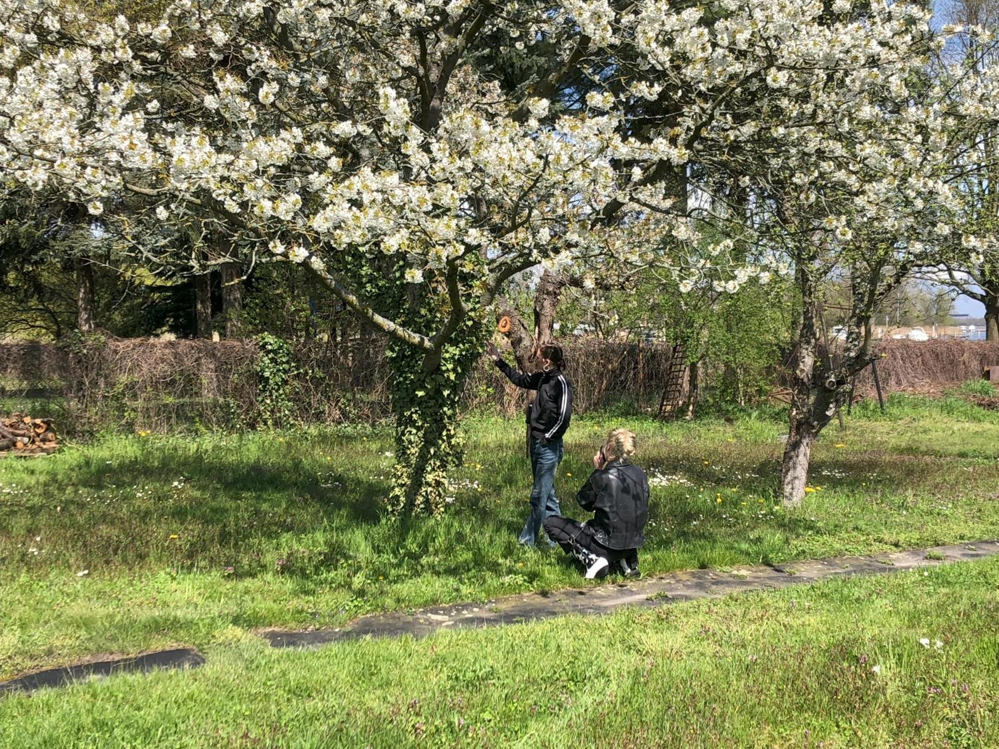 Hof Maerkische Heide Vandrerhjem Brandenburg  Eksteriør bilde